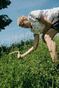 Pupils from the eco-club take part in the landscaping of the garden