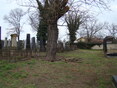 Jewish Cemetery before the reconstruction