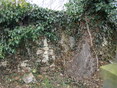 Jewish Cemetery before the reconstruction