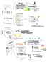 Mind map