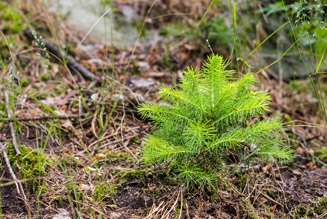 Illustration - Environment Programme - Call-4B "Stavanger"